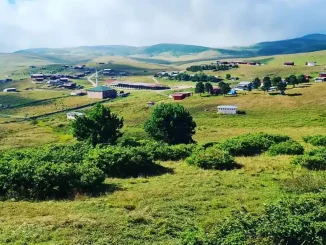 Selemen Yaylası