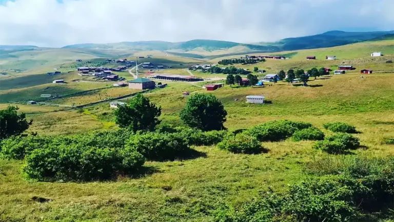 Selemen Yaylası