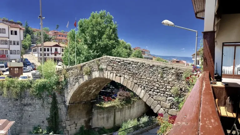 Niksar