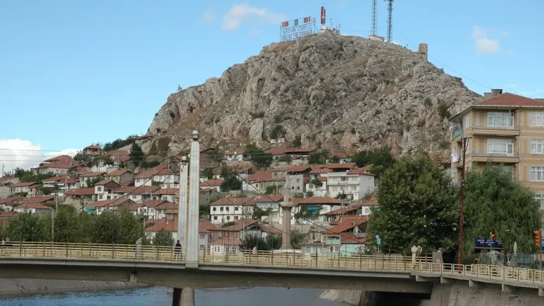Turhal Kalesi