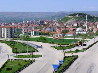 Zile