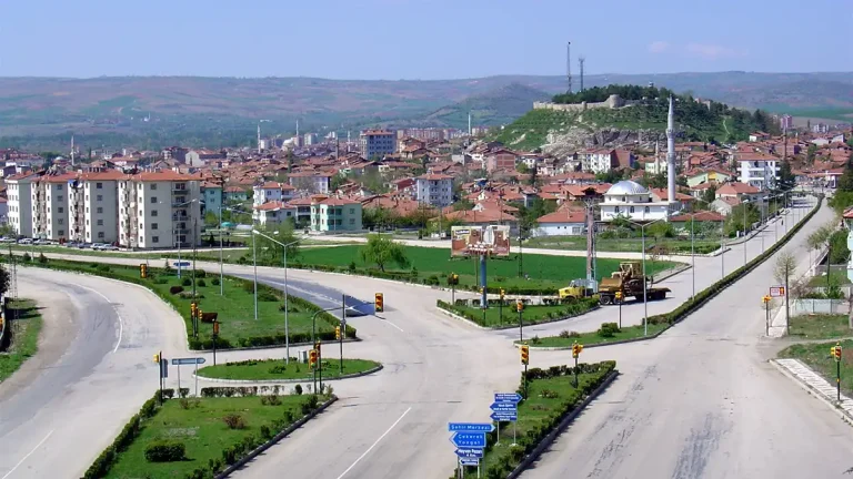 Zile