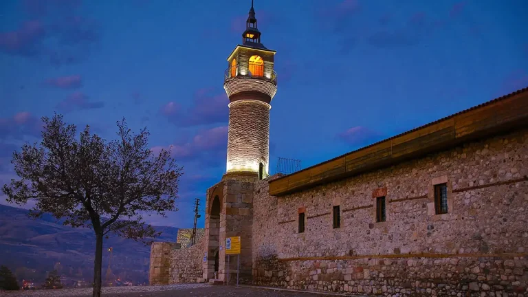 Zile Kalesi